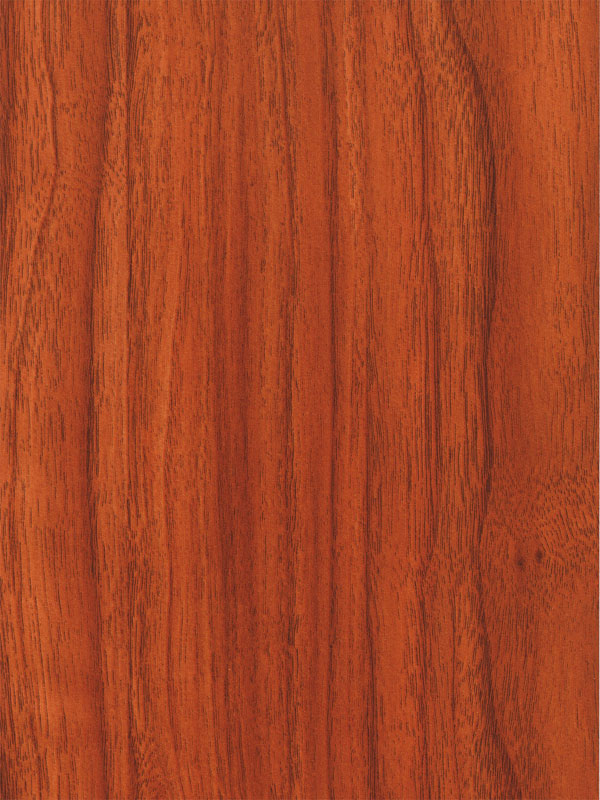 Tiger Floor No.1588