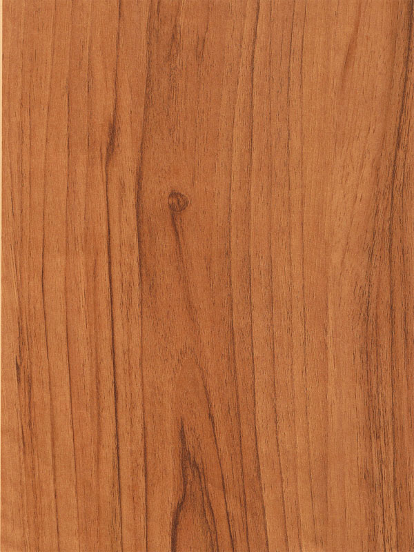 Tiger Floor No.1856