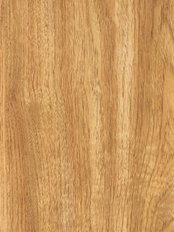 Tiger Floor No.2725