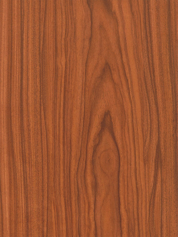 Tiger Floor No.2868