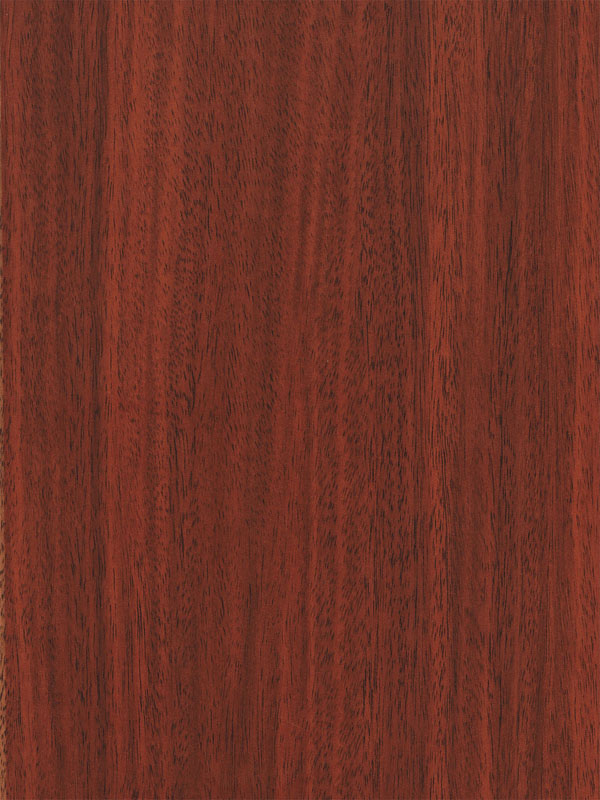 Tiger Floor No.3378