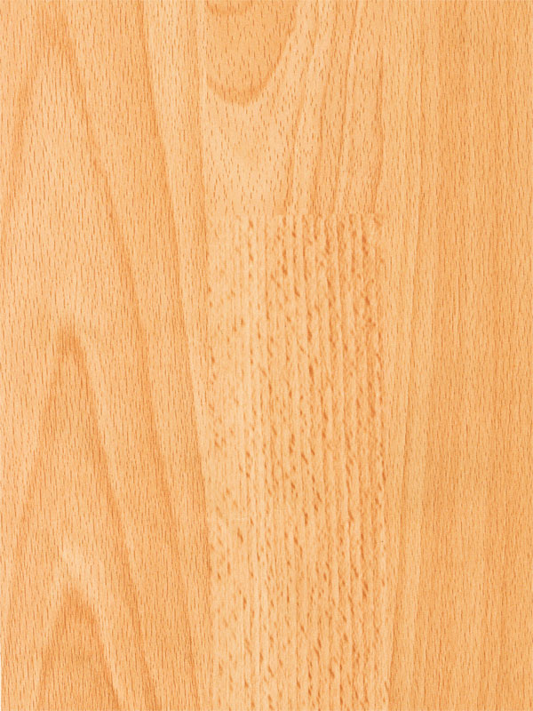 Tiger Floor No.6025