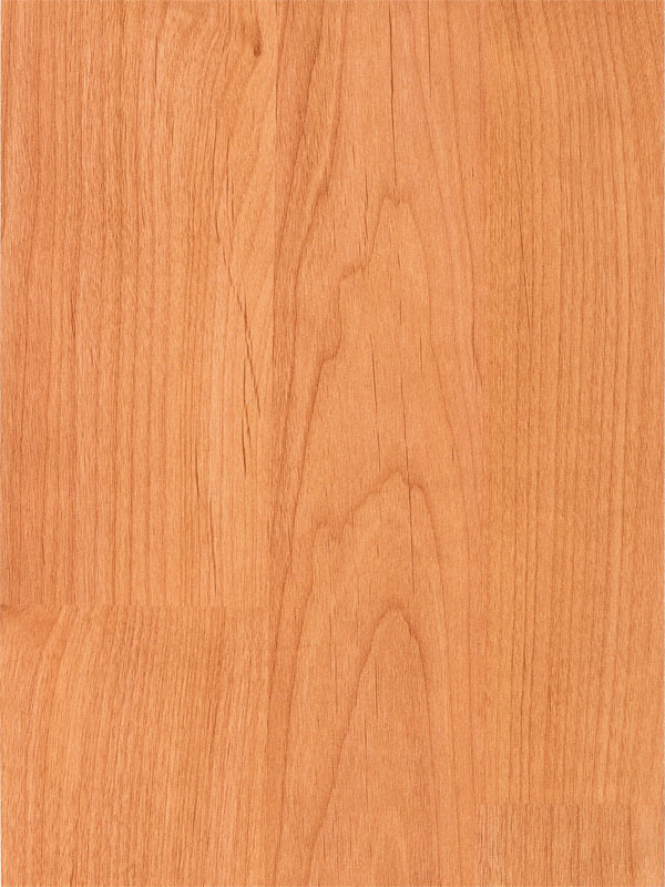 Tiger Floor No.6927