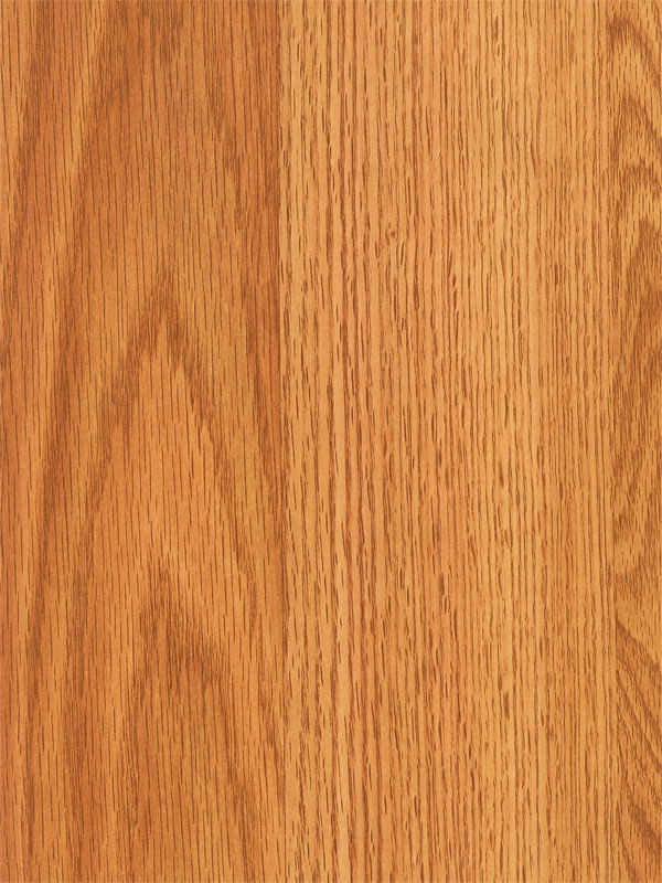 Tiger Floor No.7336
