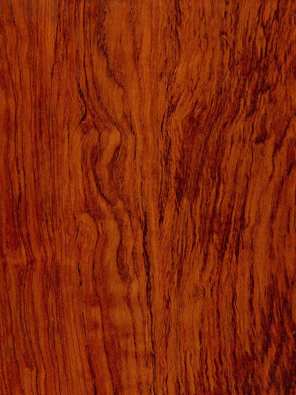 Tiger Floor No.H1961-1